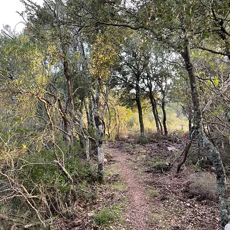 Maison De Caractere Renovee Coggia