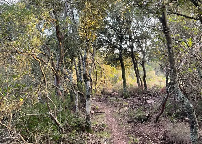 Maison De Caractere Renovee Coggia